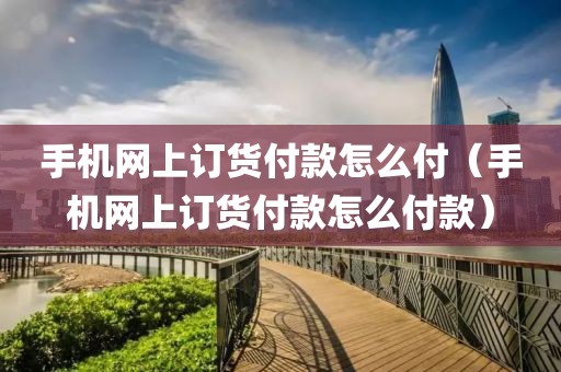 手机网上订货付款怎么付（手机网上订货付款怎么付款）